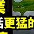 你以為中國奶業霸主背後 只有 科技與狠活兒 嗎 想簡單了 真相更為驚悚與骯髒 文昭思緒飛揚333期