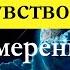 Фрэнк Кинслоу Эйфо чувство и сила Намерения Глава 11 Желание аудиокнига