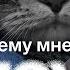 Психиатр Василий Шуров о депрессии популярных диагнозах и страхе перед врачом