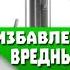 Как ОТКАЗАТЬСЯ от ВСЕХ ВРЕДНЫХ ПРИВЫЧЕК одним МАХОМ Но БУДЕТ не ЛЕГКО