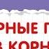 ЕГЭ по русскому языку Безударные гласные в корне