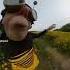 Busy Bee CrazyDudePaul Insta360NoseMode