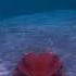 Crab Madness Crabs Ain T Got An Easy Life SDA Games Feed And Grow Fish