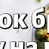 Ребенок бросает еду на пол Не давать ему еду Психолог за 3 минуты Для женщин