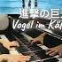 Vogel Im Käfig 進撃の巨人 Attack On Titan OST Animenz Ver Piano