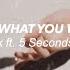 Take What You Want One Ok Rock Ft 5 Seconds Of Summer Lyrics