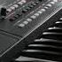 Korg PA 300 The Godfather High Quality Sound