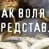 Мир как воля и представление Артур Шопенгауэр аудиокнига