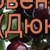 Вишня обыкновенная Ночка Дюк Nochka Dyuk обзор как сажать саженцы вишни Ночка Дюк