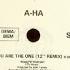 A Ha You Are The One 12 Remix 81 BPM 1988