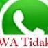 Notifikasi WhatsApp Tidak Muncul Saat Ada Chat Masuk