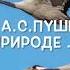 А С Пушкин стихи о природе