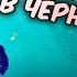 Обитатели Черного моря