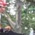 Waves My Head Para One Remix By Boys Noize Central Park Summerstage