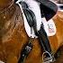 The FULL Rave Horse Freestyle Steffen Peters Suppenkasper FEI Dressage World Cup Final 2023