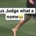 Aaron Judge Brought His Dog Gus To The Stadium Yesterday Viral Baseball Mlb Views Shorts