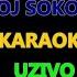 Moj Sokole Karaoke MILE KITIC