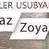 Valer Usubyan MRAZ ZOYA Official Music Clip 2024