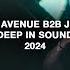 Ammo Avenue B2b Jorhav Live Knee Deep In Sound Lima 2024