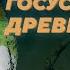 Госустройство Древней Руси Александр Назаренко Родина слонов 147