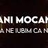 Dani Mocanu Hai Sa Ne Iubim Ca Nemtii 8D