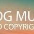 Markvard Sky VLOG MUSIC No Copyright