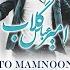 Az To Mamnoonam