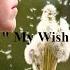 My Wish Luiz B Remix