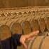 The Majestic Rioja Spain S Largest Wine Region Documentary