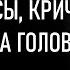 Ян Барщевский Волосы кричащие на голове