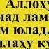 Беш вакт намозни урганамиз тулик холда Бомдод Пешин Аср Шом Хуфтон Витр