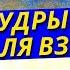 Мудрые Сказки на Ночь для Взрослых и Детей Ёжикины Сказки Сергей Козлов и Никошо