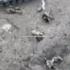 Every Meter Is Now Littered With Russian Corpses Ukrainian UAVs Destroy 95 Of Enemy Personnel