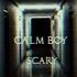 Calm Boy SCARY Paranormal Video