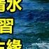 劉德華傳唱代表作 1 01 忘情水 02 練習 03 來生緣 04 謝謝你的愛 歌詞字幕