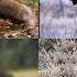 ALL SHOTS OF THE HUNTING SEASON THE BEST MOMENTS OF HUNTING FOR ELK ROE DEER HARE AND FOX