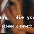 Kesha Die Young Slowed Reverb