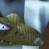 The Gruffalo S Child Came Across The Evil Snake GruffaloWorld Compilation