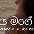 Haiya Mage Hitha හය ය මග හ ත Slowed Reverb