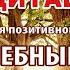 Медитация для создания позитивного образа Я Волшебный лес