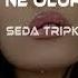 Seda Tripkolic Ne Olur Gitme Mustafa Atarer Remix