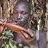 The Lady From Suri Tribe Inserting Lip Plate