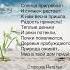 Стихи про весну для детей и взрослых от Старковой Натальи вещияра