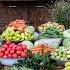 Crunchy Refreshing Vegetable Salad Fresh And Healthy All Year