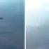 Dramatic Moment Russian UAV Is Blown Out Of The Sky After Being Hunted Down By Ukraine Drone