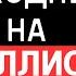 Как открыть свой первый МАЛЫЙ бизнес за 48 часов