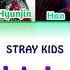 Stray Kids SPREAD MY WINGS SKZ2020 Colorcodedlyrics Han Rom Eng