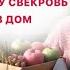 Скажи своей матери пусть сидит в городе У нас ничего сажать не надо Рассказ из жизни