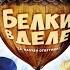 Белки в деле 2016 трейлер русский Filmerx Ru