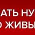 Думать нужно о живых Андрей Курпатов